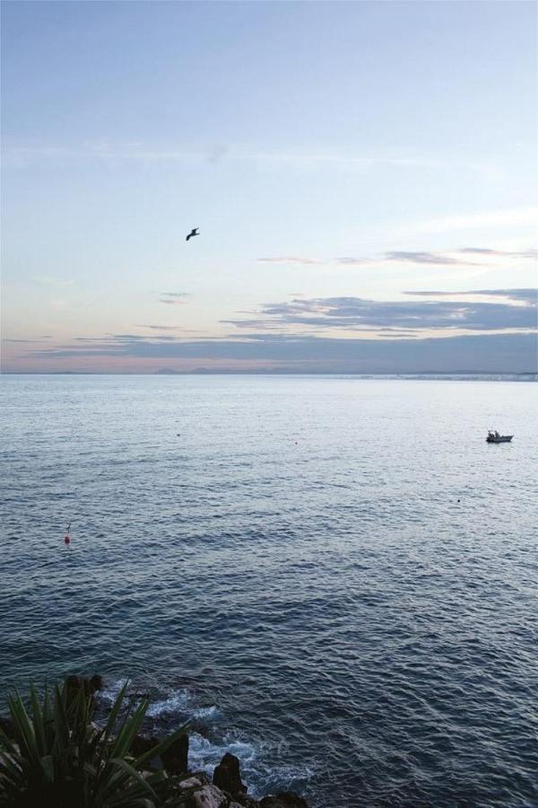 Apartamento Gilly 4 - Exceptional 2Beds, Sea View, Modern,A/C, Old Town Niza Exterior foto
