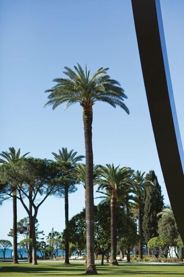 Apartamento Gilly 4 - Exceptional 2Beds, Sea View, Modern,A/C, Old Town Niza Exterior foto